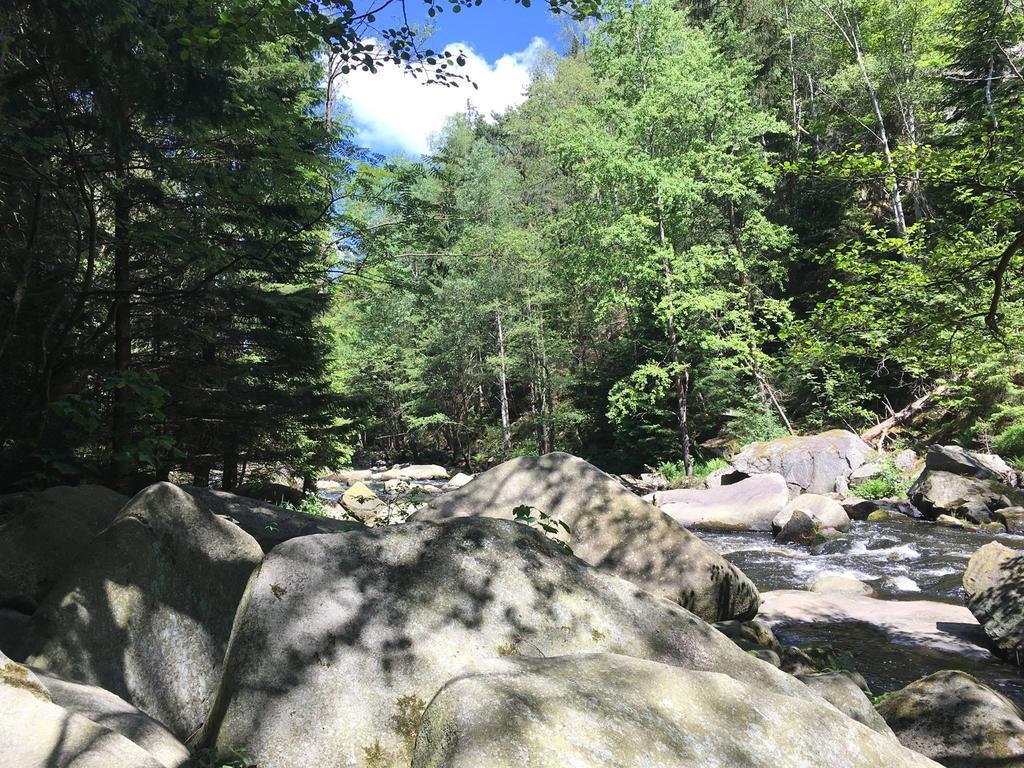 Apartmán s Výhledem na jezero Lipno nad Vltavou Exteriér fotografie